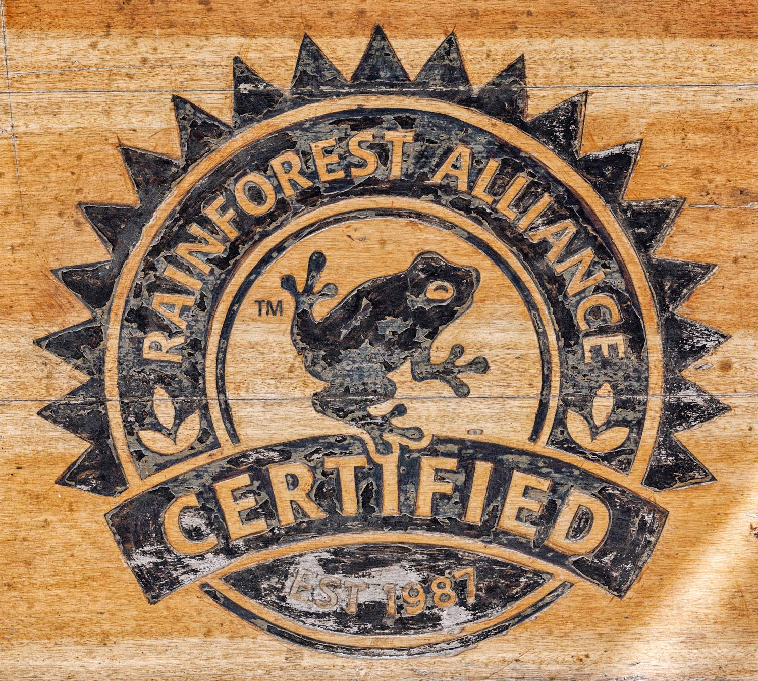 rainforest-alliance-official-seal-on-coffee-barrel-1.jpg