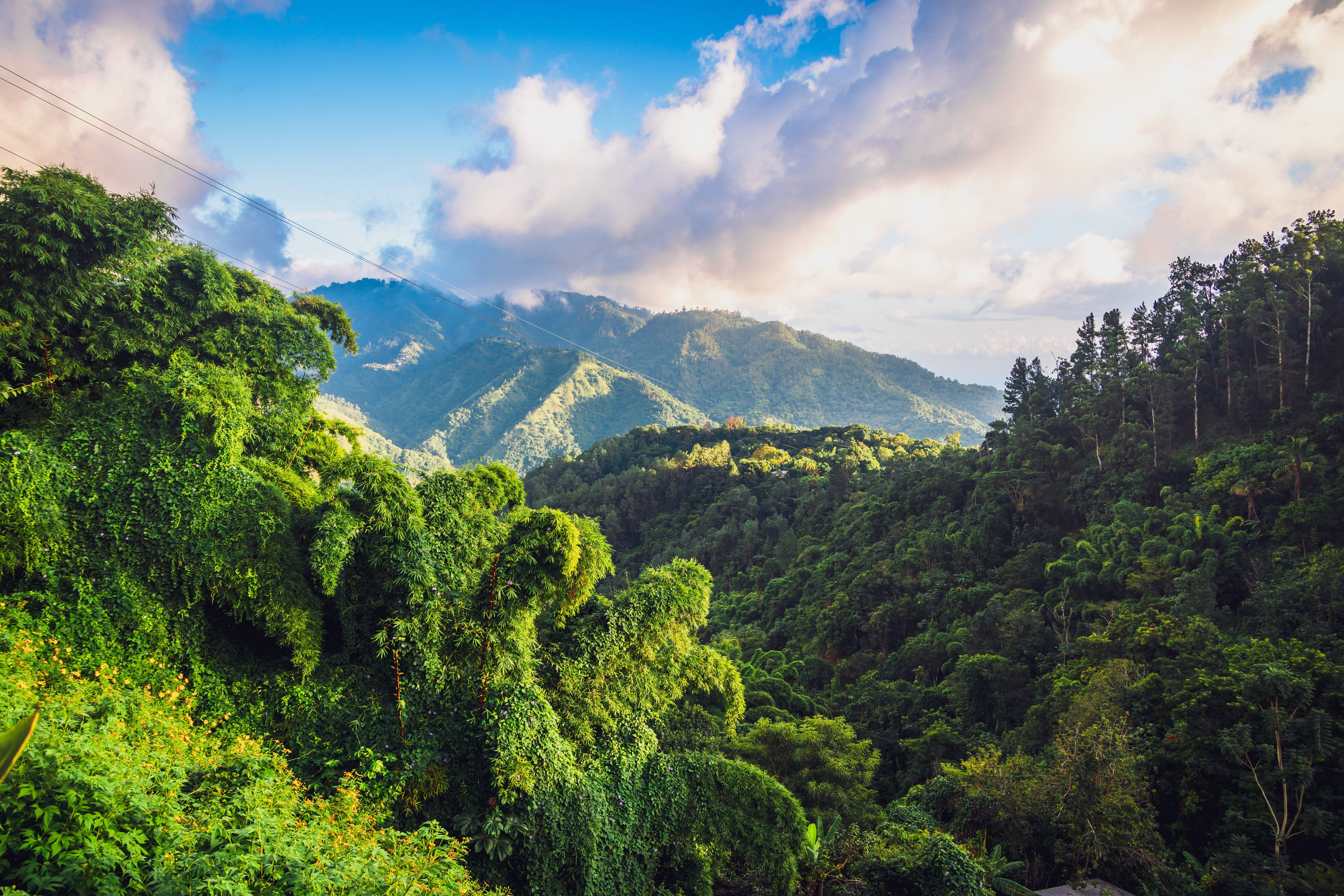 Blue Mountains Jamaica